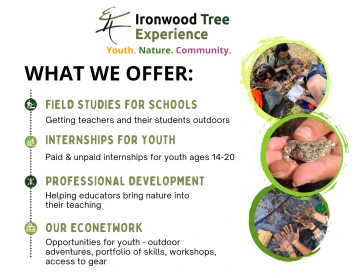 Image of Ironwood Tree Experience (ITE) loco (letters E and H) and a description of what ITE offers: 1) Field Studies for Schools - Getting teachers and their students outdoors, 2) Interships for Youth - Paid & unpaid internships for youth ages 14-20, 3) Professional Development - Helping educators bring nature ino their teaching, 4) Our Econetwork - Opportunities for youth - outdoor adventures, portfolio of skills, workshops, access to gear.