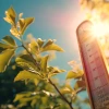 Photo of a tree branch juxtaposed with an outdoor thermometer registering high heat.